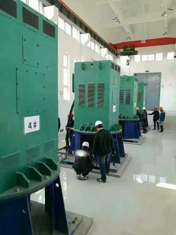 YJTFKK4505-6-500KW某污水处理厂使用我厂的立式高压电机安装现场
