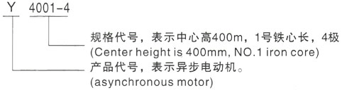 西安泰富西玛Y系列(H355-1000)高压YJTFKK4505-6-500KW三相异步电机型号说明